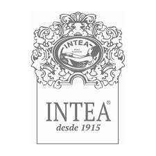 Logo of Intea