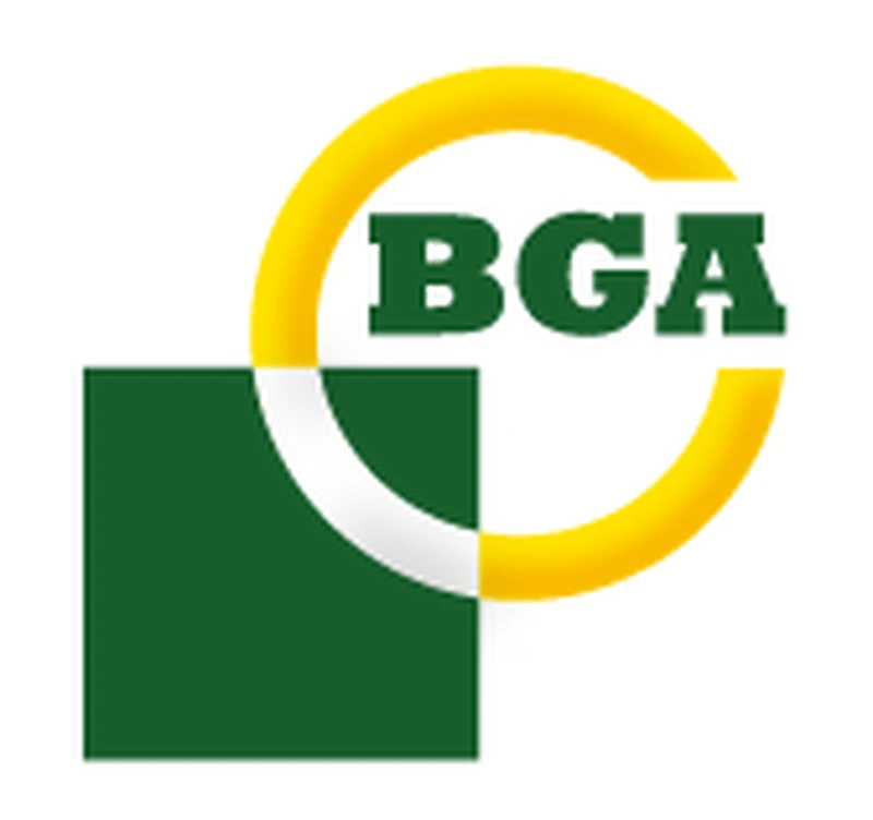 BG Automotive logo