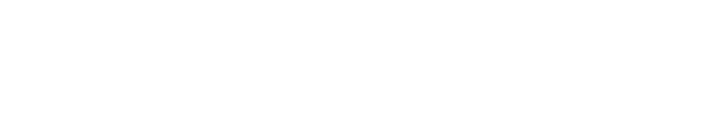 Bedmaster logo