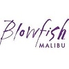 Blowfish Malibu Logo