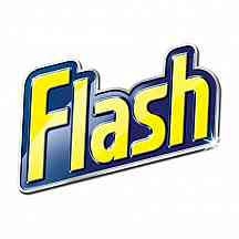 Flash Logo