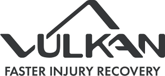 Vulkan logo