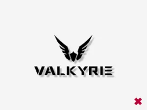 Logo of Valkyrie