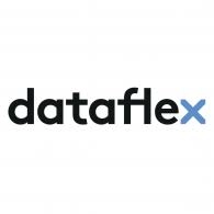 Dataflex Logo