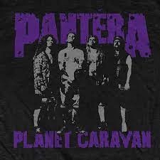 Logo of Pantera Planet