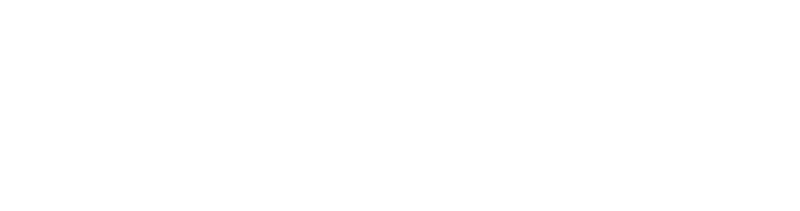 HAVN logo