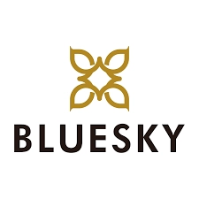 Bluesky Logo