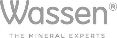Wassen logo