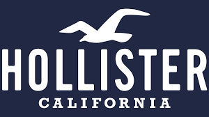 Hollister logo