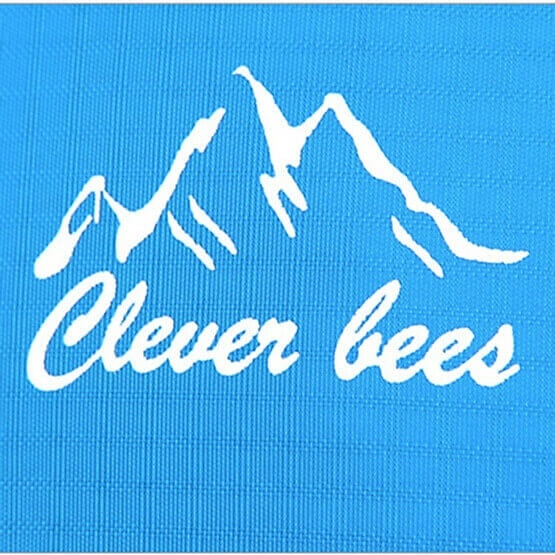 Logo of Clever Bees