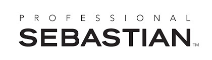 Sebastian Professional Logo