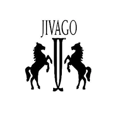 Logo of JIVAGO