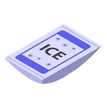 Ice Packs Logo