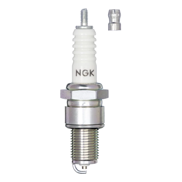 Spark Plugs Logo