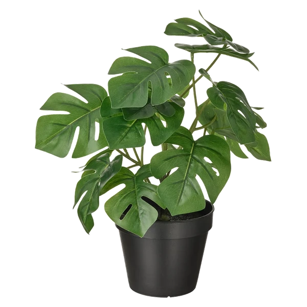 Plants and Plant Pots Logo