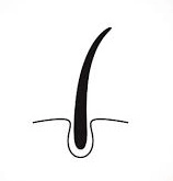 Scalp Care Logo