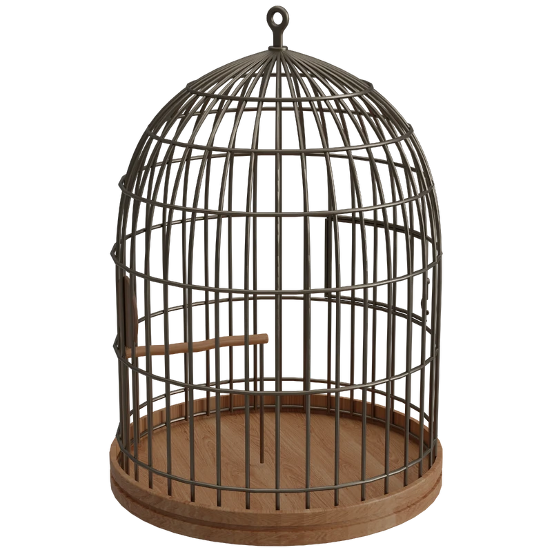 Bird Cages Logo