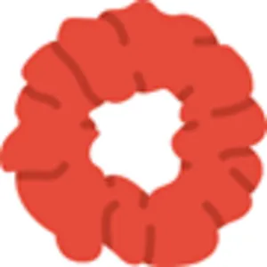 Scrunchies Logo