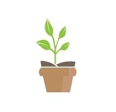 Plants and Plant Pots Logo