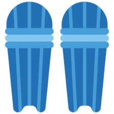 Image of Batting Pads