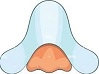 Nose Strips Logo