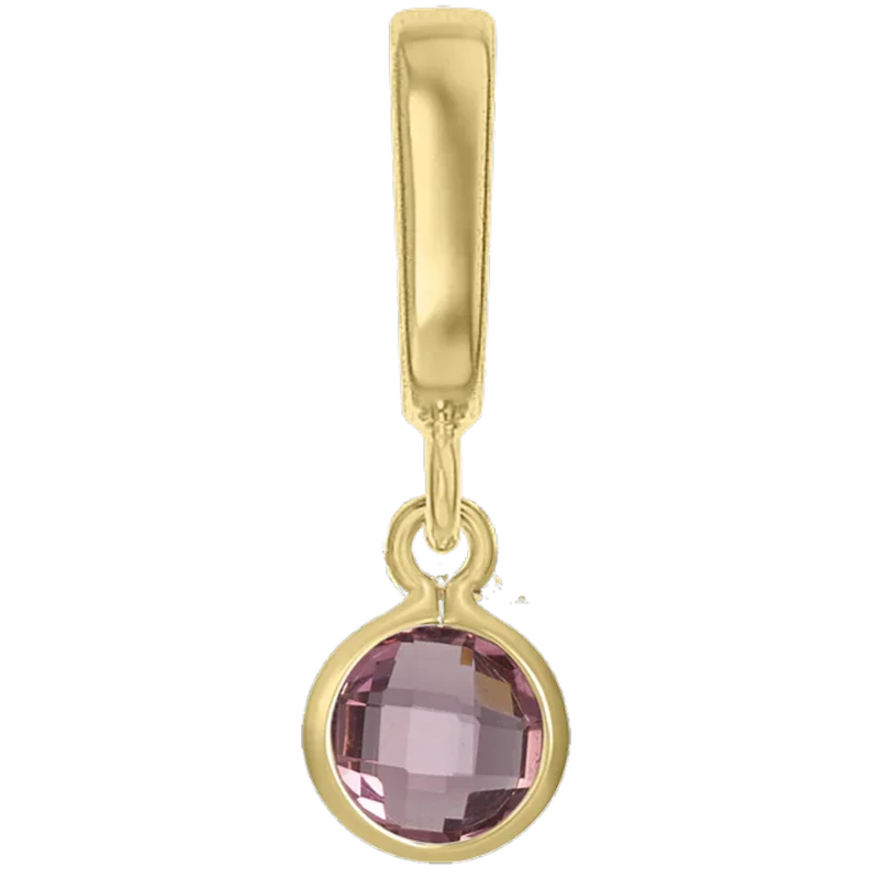 Charms Logo