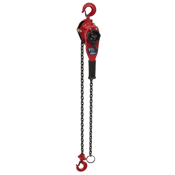 Image of Hoists
