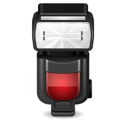 Camera Flashguns Logo