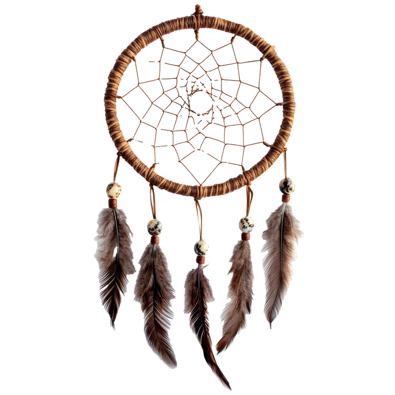 Dream Catchers Logo
