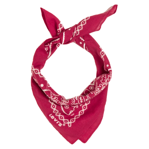 Bandana Logo