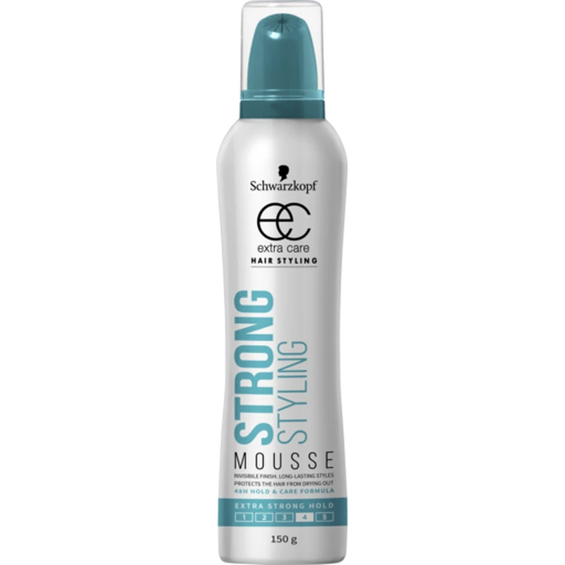 Hair Mousse Logo