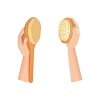 Body Brushes Logo