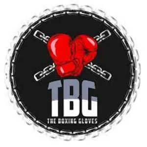 Logo of The Boxing Gloves