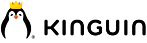 Logo of Kinguin retailer