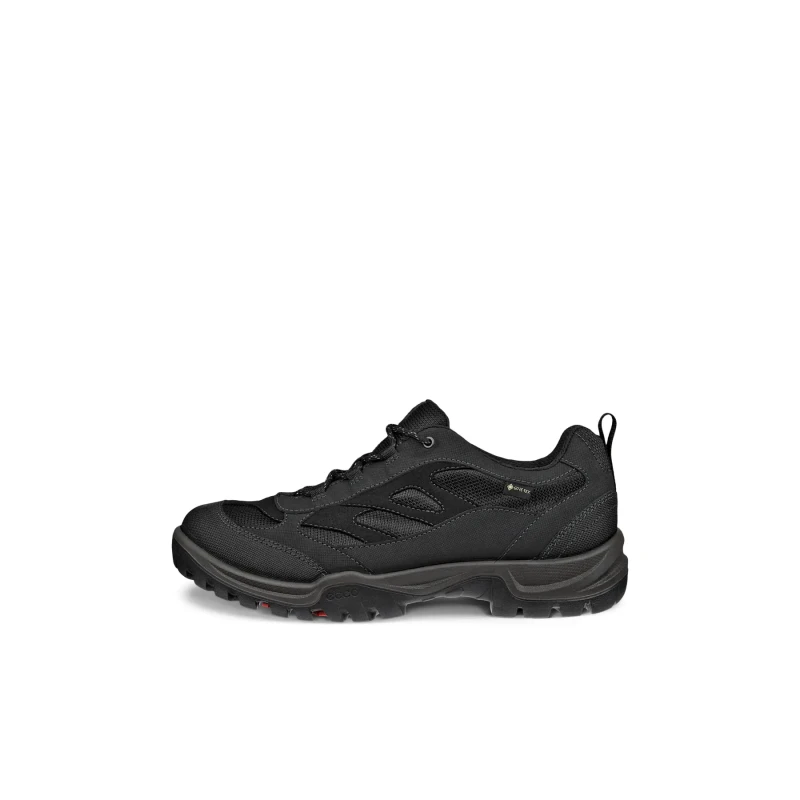 Image of Hiking shoes Ecco Xpedition III Noir Male 44