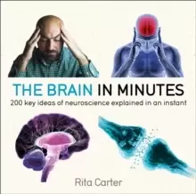 Image of The Brain in Minutes