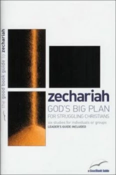 Image of Gods Big Plan for Struggling Christians by Tim Chester Paperback