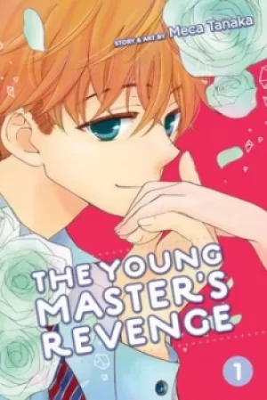 Image of The young masters revenge by Meca Tanaka
