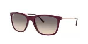 Image of Ray-Ban Sunglasses RB4344 653432