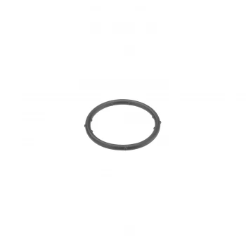 Image of Coolant Flange Seal Ring Seal / Gasket 18766 by Febi Bilstein