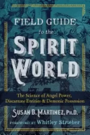 Image of field guide to the spirit world the science of angel power discarnate entit