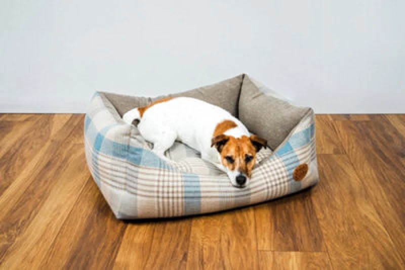 Image of Snug & Cosy Pets Snug And Cosy Highland Bluebell Rectangle Bed 64Cm
