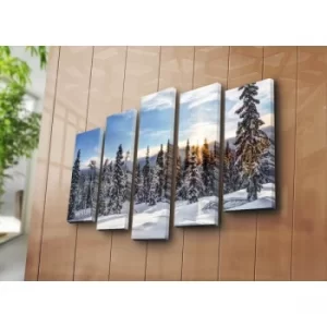Image of 5NATPAT-42 Multicolor Decorative Canvas Painting (5 Pieces)