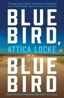 Image of Bluebird, Bluebird