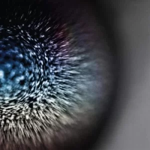 Image of Emptyset ‎- Blossoms Vinyl