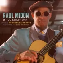 Image of If You Really Want