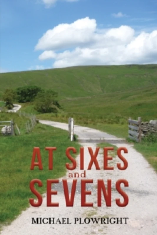 Image of At Sixes and Sevens. Paperback. By Michael Plowright Books