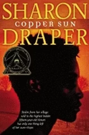 Image of copper sun