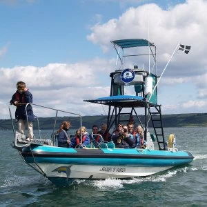 Image of Red Letter Days - Dolphin and Whale Watching for Two