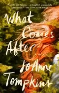 Image of what comes after a novel